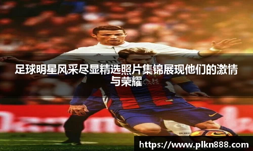 BB贝博官方网站